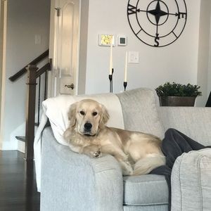 Meet your Posher, Reed